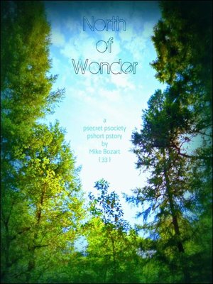 cover image of North of Wonder